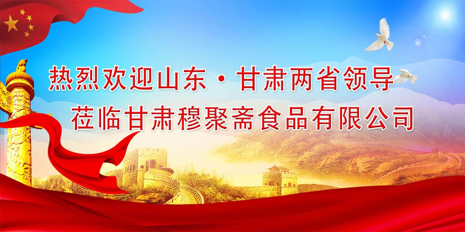 山东省、济南市党政代表团莅临甘肃穆聚斋食品有限公司